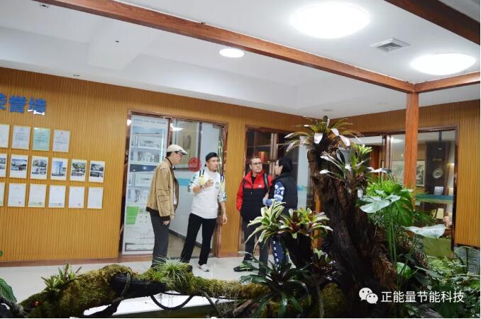 千赢国际光导照明